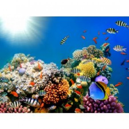 Tapet autocolant -Peste coral 1 - 150x200cm